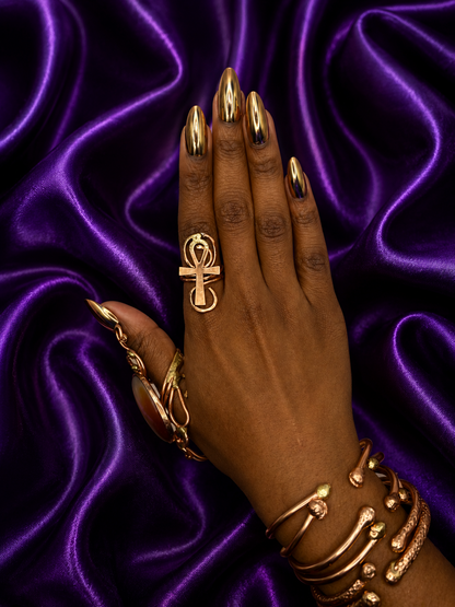 Ahnk ring